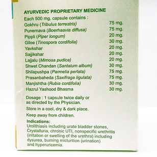 best ayurvedic medicine for kidney stone